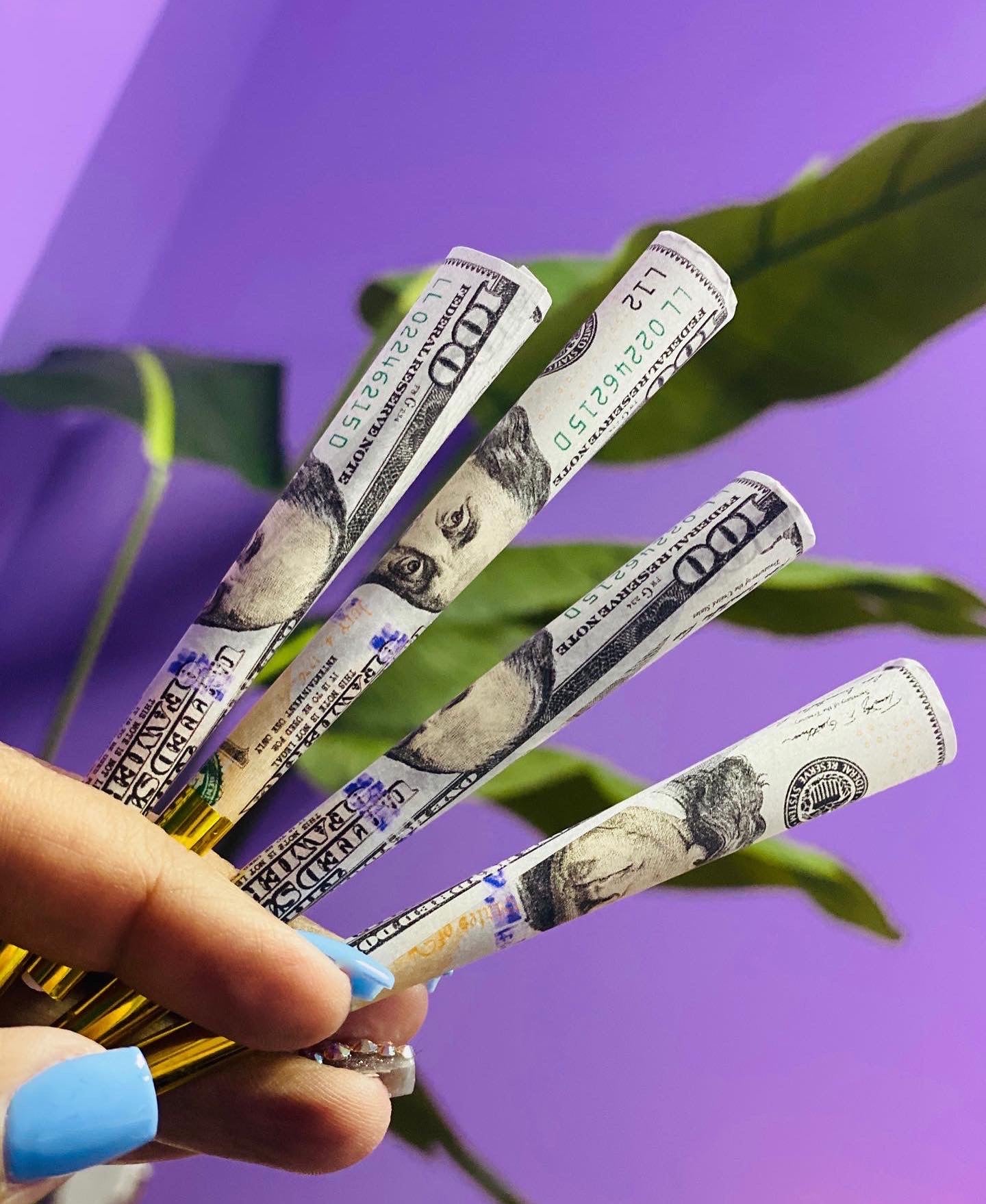 Pretty Benjamin’s Cones