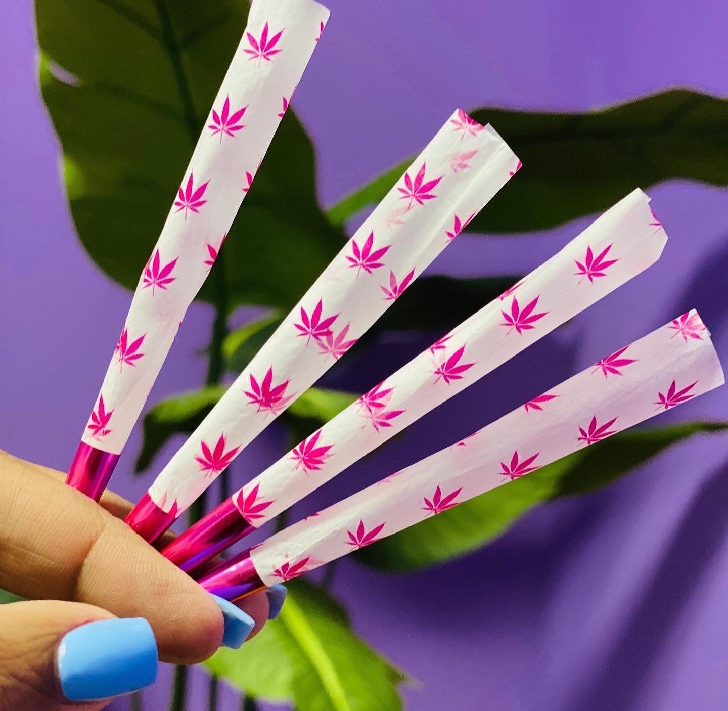 Pretty Weeds Cones