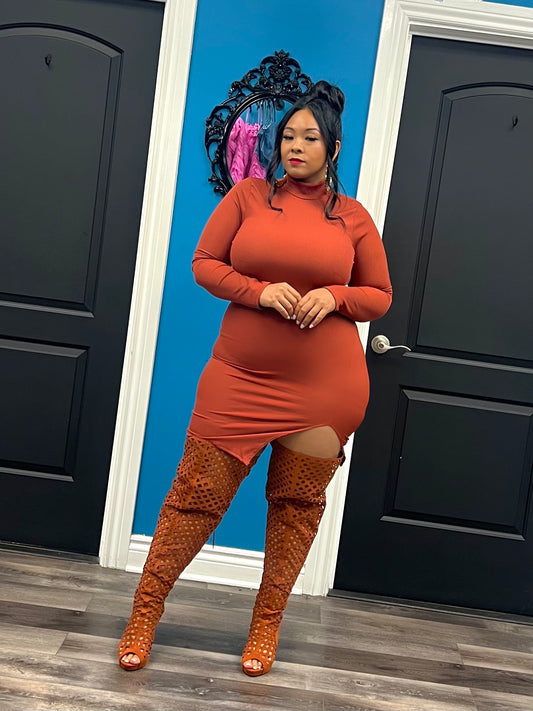 Rust Steph Dress