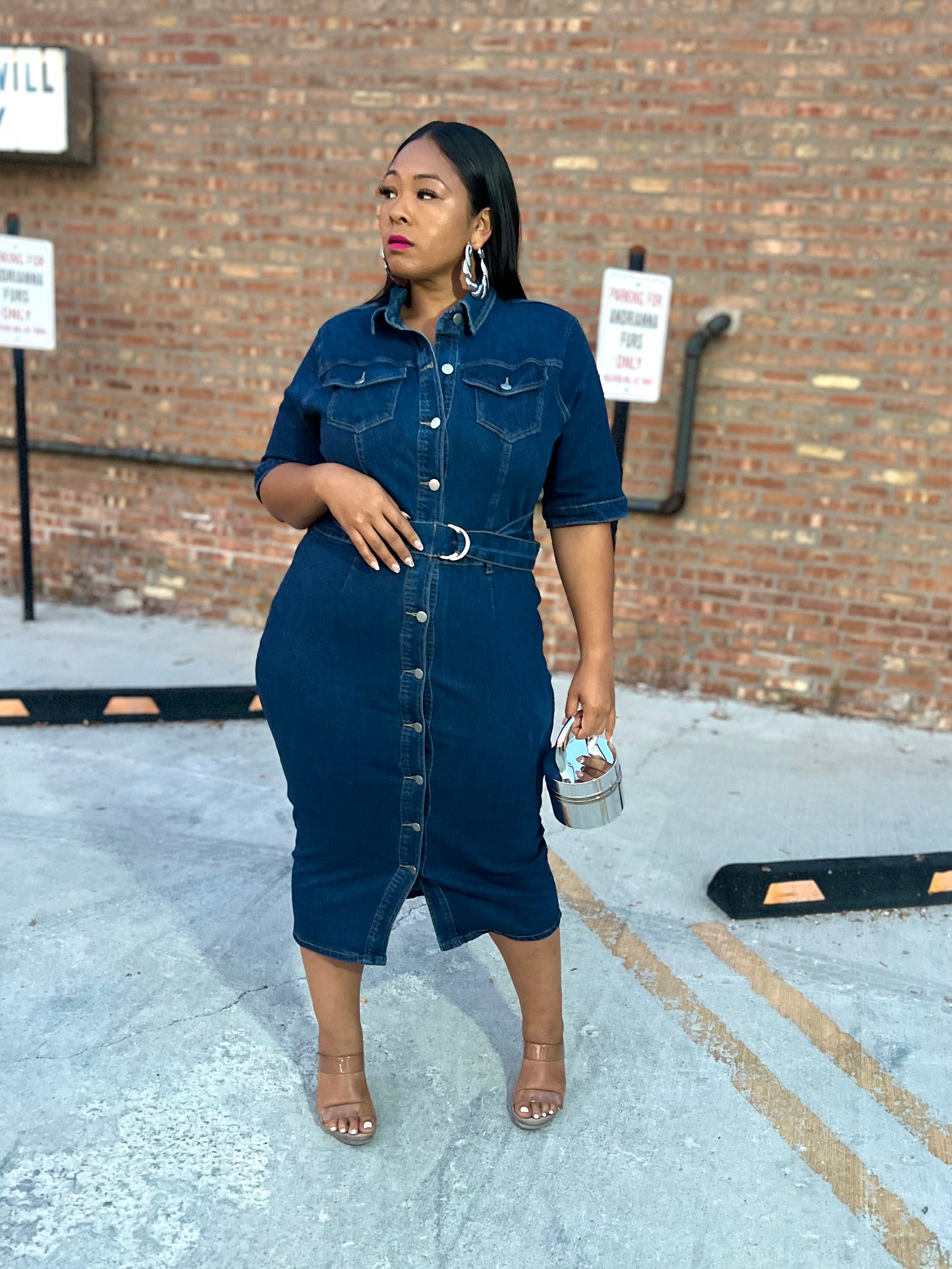 Denim Rachel Dress